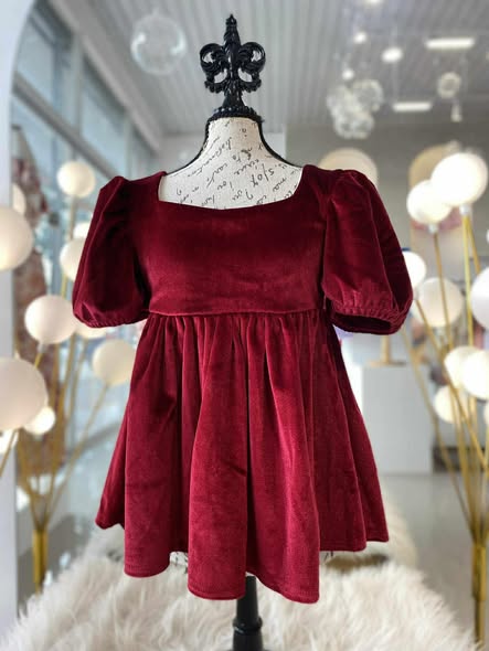 Christmas Velvet Dress