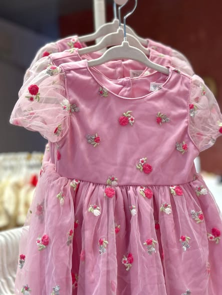 Pretty Embroidered Dress