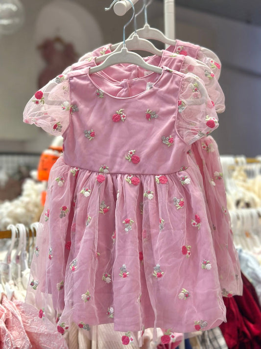 Pretty Embroidered Dress