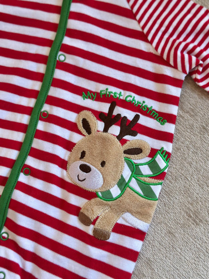 Christmas Frogsuits