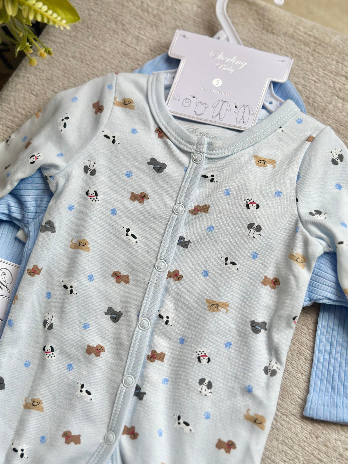 5pc Infant Set in Blue